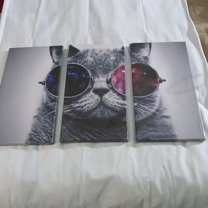 3 piece sunglasses cat picture